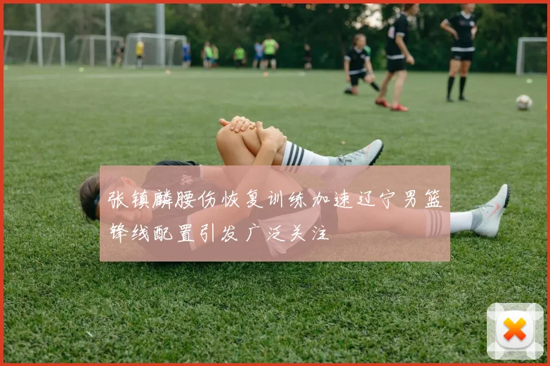 张镇麟腰伤恢复训练加速辽宁男篮锋线配置引发广泛关注