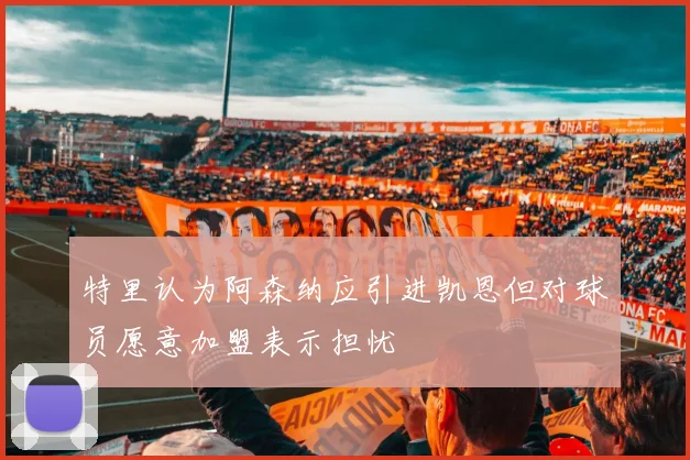 特里认为阿森纳应引进凯恩但对球员愿意加盟表示担忧