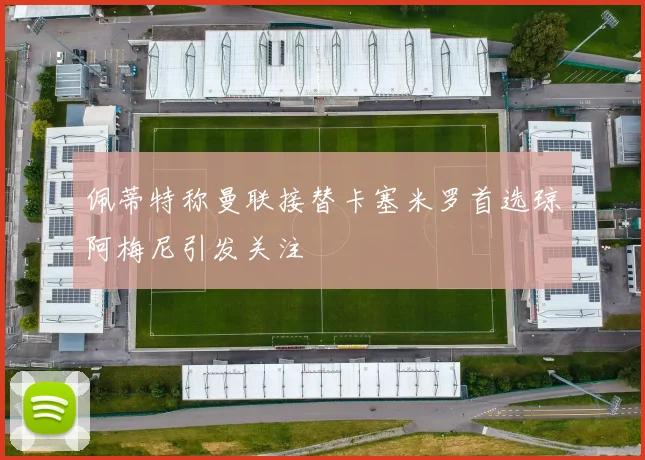 佩蒂特称曼联接替卡塞米罗首选琼阿梅尼引发关注